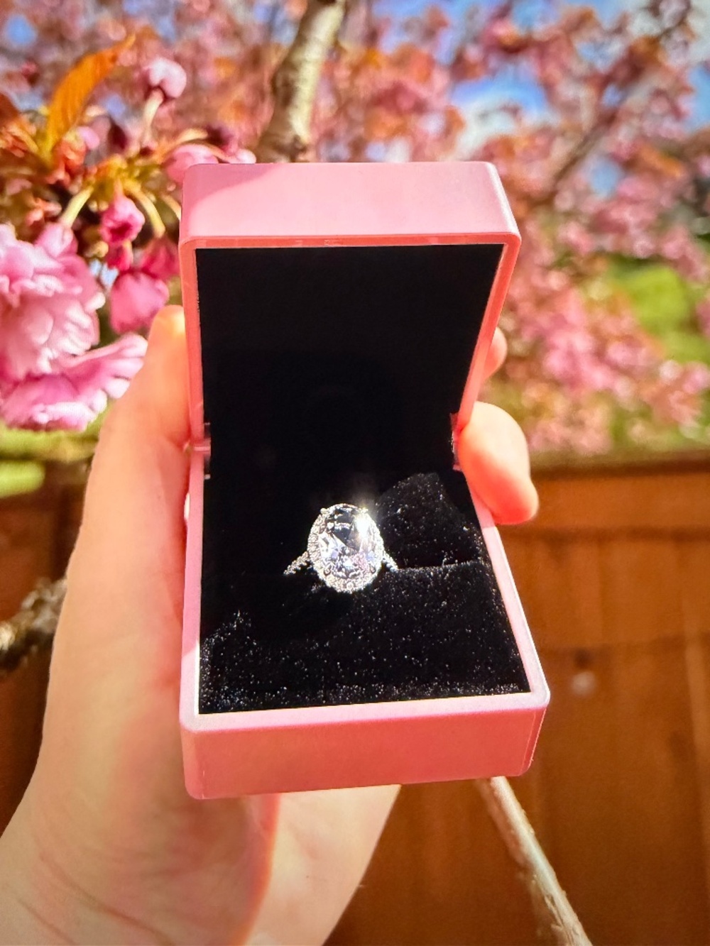 Pink Morganite Ring: White Sapphire Halo Accents, 14kt White Gold/Silver